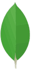 MongoDB
